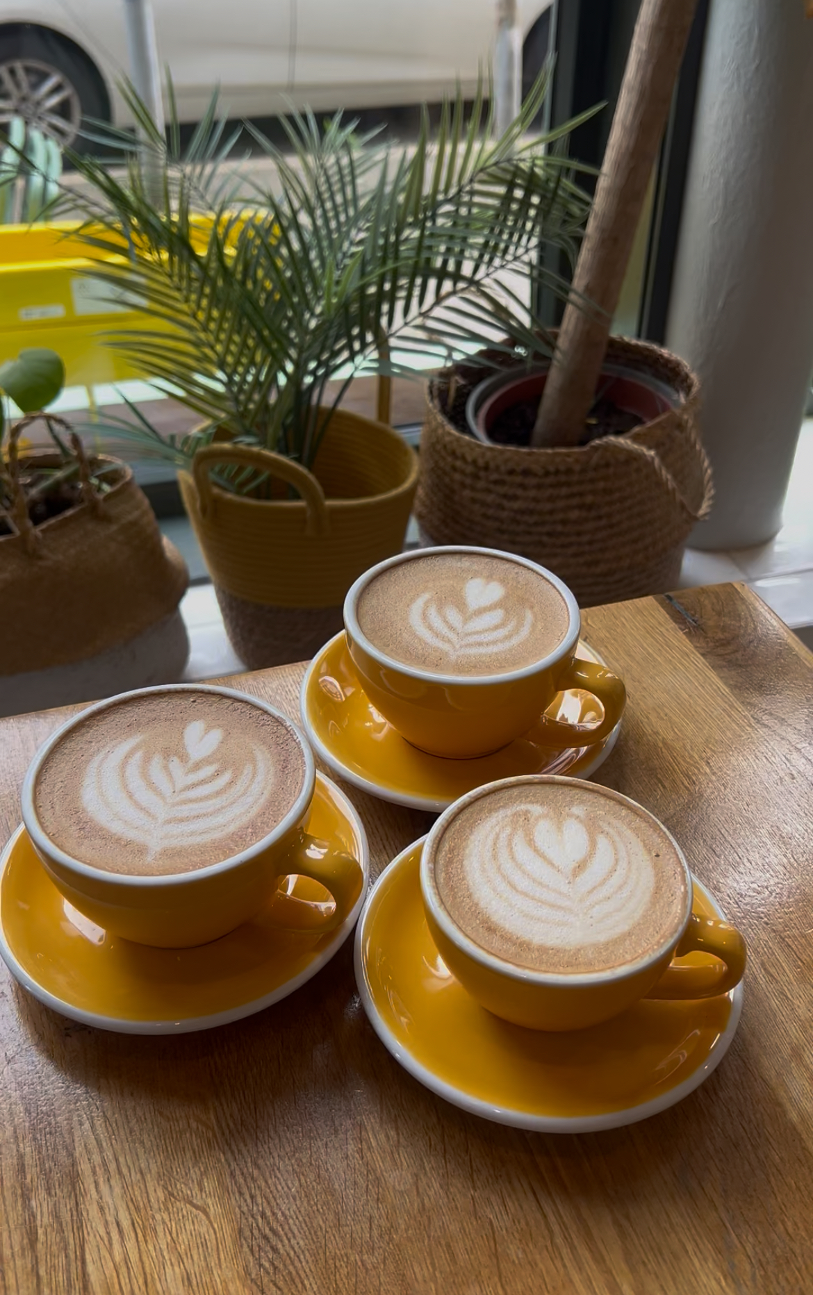 Drei Tassen Kaffee mit Latte-Art auf gelben Untertassen, umgeben von Pflanzen, auf einem Holztisch.